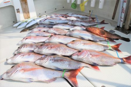 KIM Fishing Guide Ser…