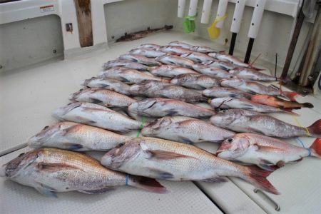 KIM Fishing Guide Ser…