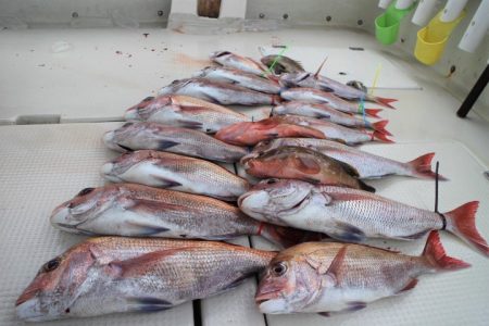 KIM Fishing Guide Ser…