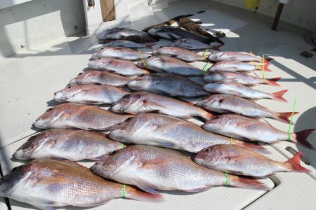 KIM Fishing Guide Ser…