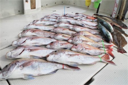 KIM Fishing Guide Ser…