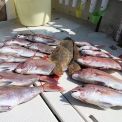 KIM Fishing Guide Service 釣果