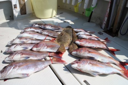 KIM Fishing Guide Ser…