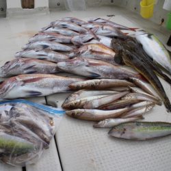 KIM Fishing Guide Service 釣果