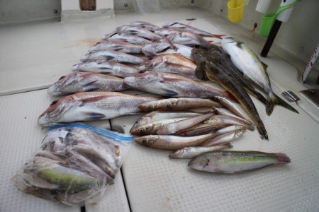 KIM Fishing Guide Ser…