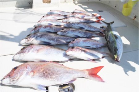 KIM Fishing Guide Ser…