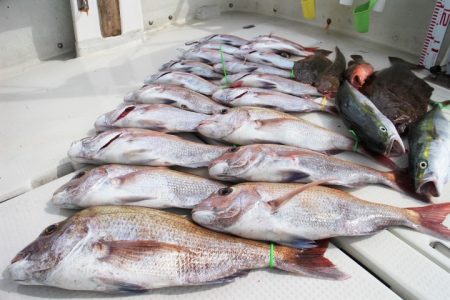 KIM Fishing Guide Ser…