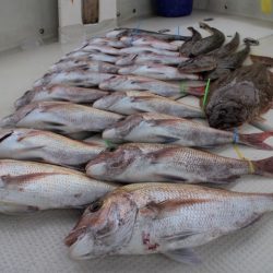 KIM Fishing Guide Service 釣果