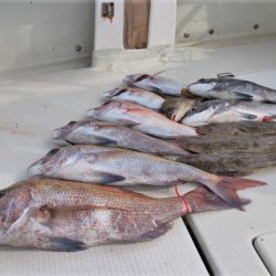 KIM Fishing Guide Service 釣果