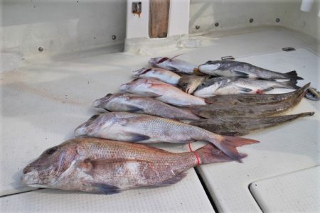 KIM Fishing Guide Ser…