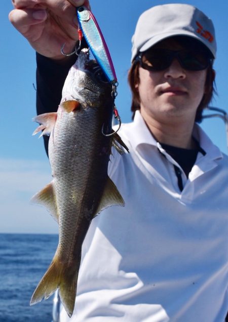 渡船屋たにぐち 釣果