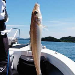 遊漁船 家入 釣果