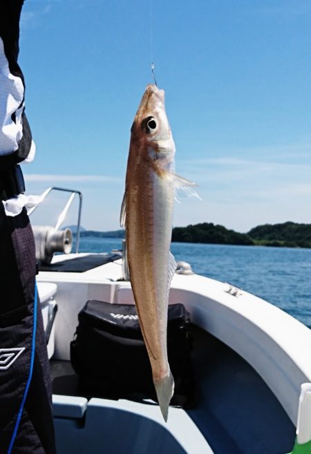 遊漁船 家入 釣果