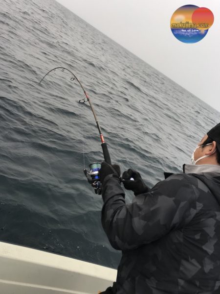 幕島丸 釣果