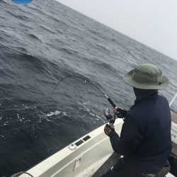 幕島丸 釣果