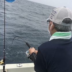 幕島丸 釣果