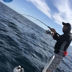 幕島丸 釣果