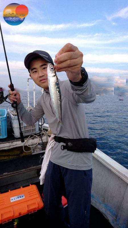 幕島丸 釣果
