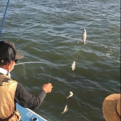 ヤザワ渡船 釣果