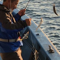 ヤザワ渡船 釣果