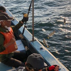 ヤザワ渡船 釣果
