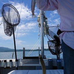 遊漁船 家入 釣果