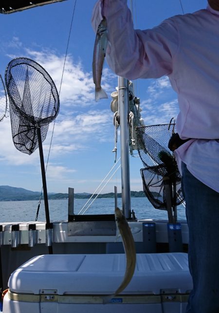 遊漁船 家入 釣果