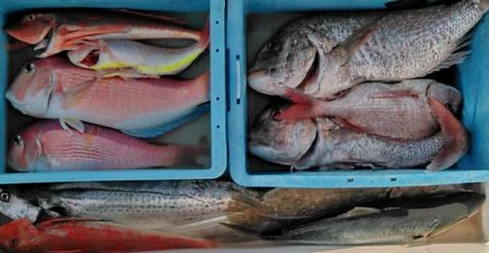 Big One　ビッグワン 釣果