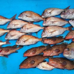 フィッシングガイド りょう 釣果