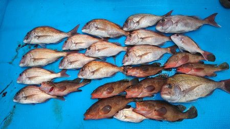 フィッシングガイド りょう 釣果