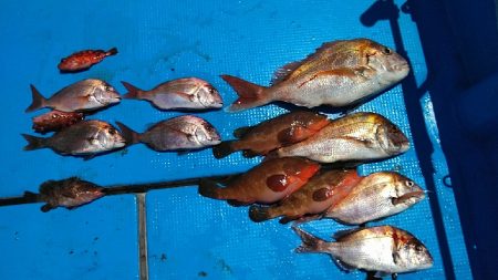 フィッシングガイド りょう 釣果