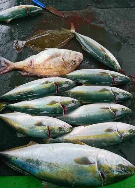 小島丸 釣果