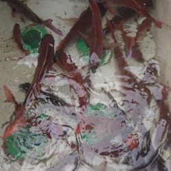 シースナイパー海龍 釣果