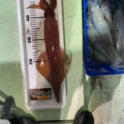 海龍丸（石川） 釣果