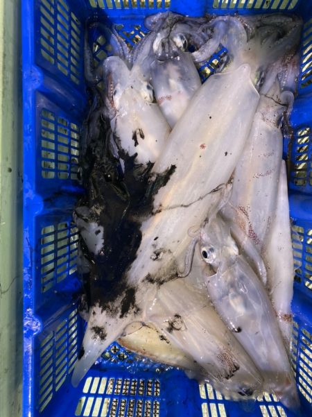 海龍丸（石川） 釣果