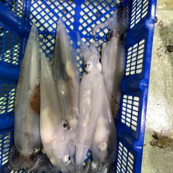 海龍丸（石川） 釣果