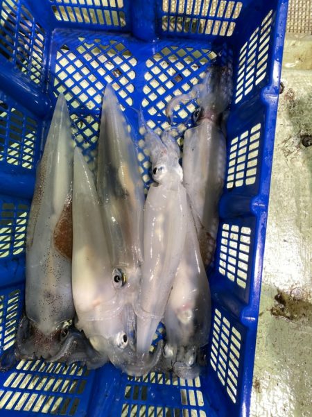 海龍丸（石川） 釣果