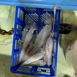 海龍丸（石川） 釣果