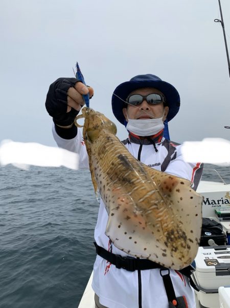 きずなまりん 釣果