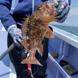 新幸丸 釣果