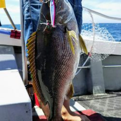 光生丸 釣果