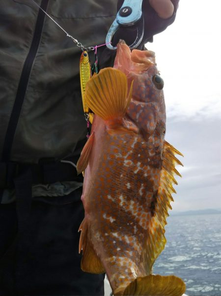 光生丸 釣果