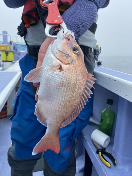 新幸丸 釣果