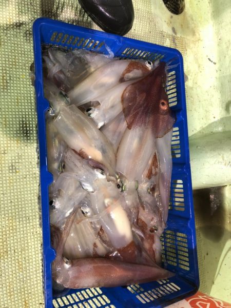 海龍丸（石川） 釣果