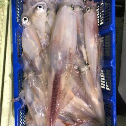 海龍丸（石川） 釣果