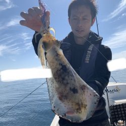 きずなまりん 釣果