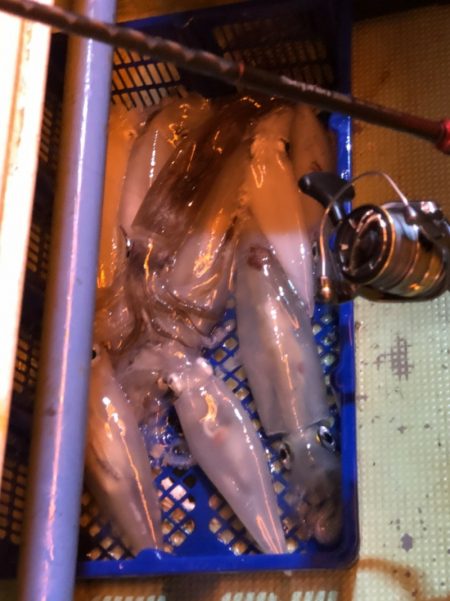 海龍丸（石川） 釣果