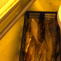 海龍丸（石川） 釣果