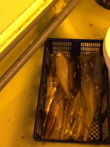 海龍丸（石川） 釣果