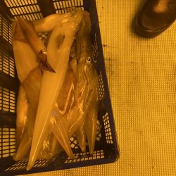 海龍丸（石川） 釣果